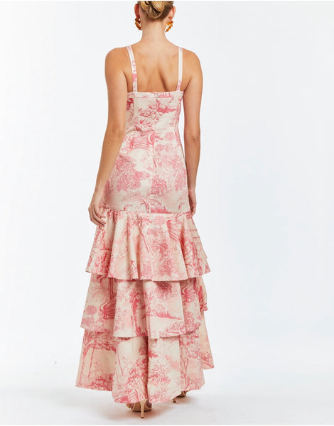 Pink Toile Gown